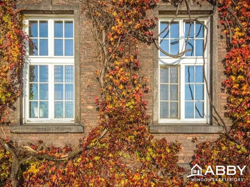 fall leaves window